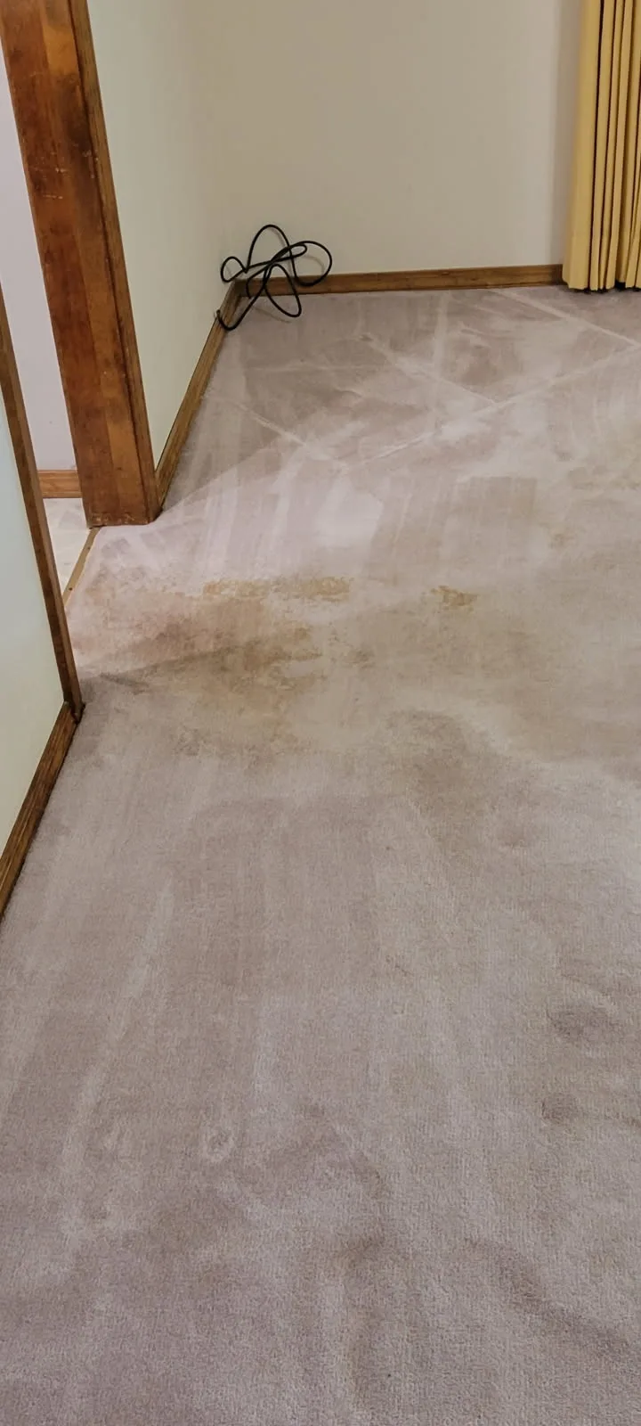 bedroom carpet before cleaning
